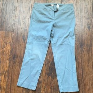 Loft Chino Pants